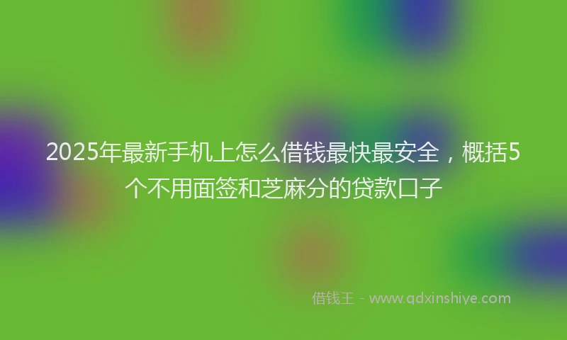 2025年最新手机上怎么借钱最快最安全，概括5个不用面签和芝麻分的贷款口子
