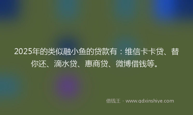 2025年的类似融小鱼的贷款有：维信卡卡贷、替你还、滴水贷、惠商贷、微博借钱等。