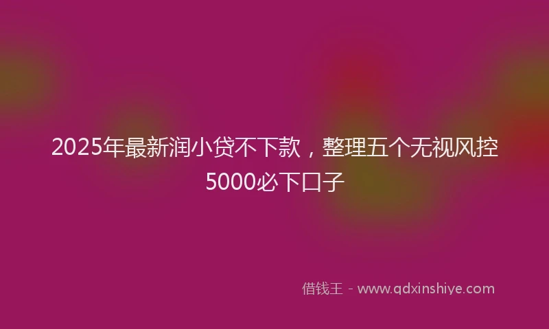 2025年最新润小贷不下款，整理五个无视风控5000必下口子