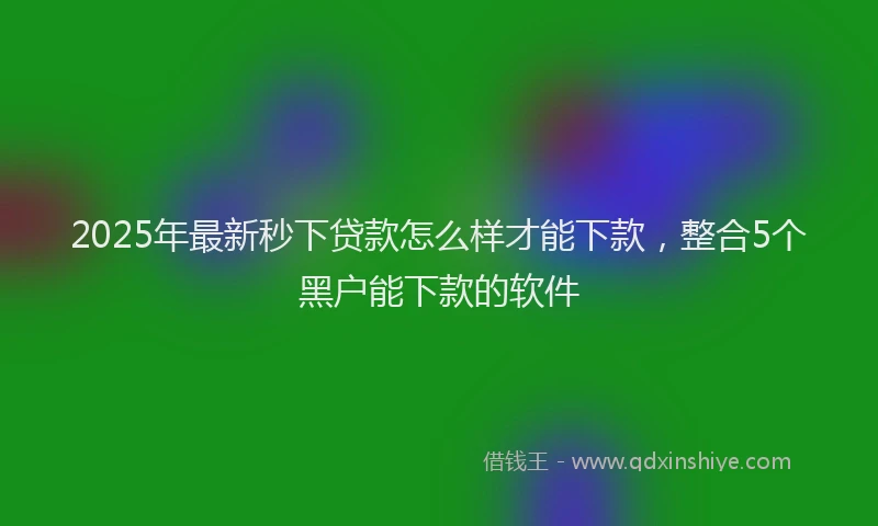 2025年最新秒下贷款怎么样才能下款，整合5个黑户能下款的软件