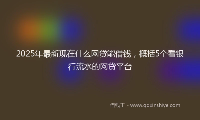 2025年最新现在什么网贷能借钱，概括5个看银行流水的网贷平台