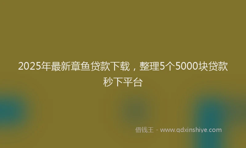 2025年最新章鱼贷款下载，整理5个5000块贷款秒下平台
