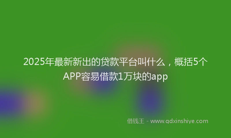 2025年最新新出的贷款平台叫什么，概括5个APP容易借款1万块的app