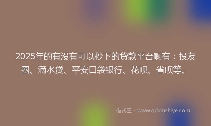 2025年的有没有可以秒下的贷款平台啊有：投友圈、滴水贷、平安口袋银行、花呗、省呗等。