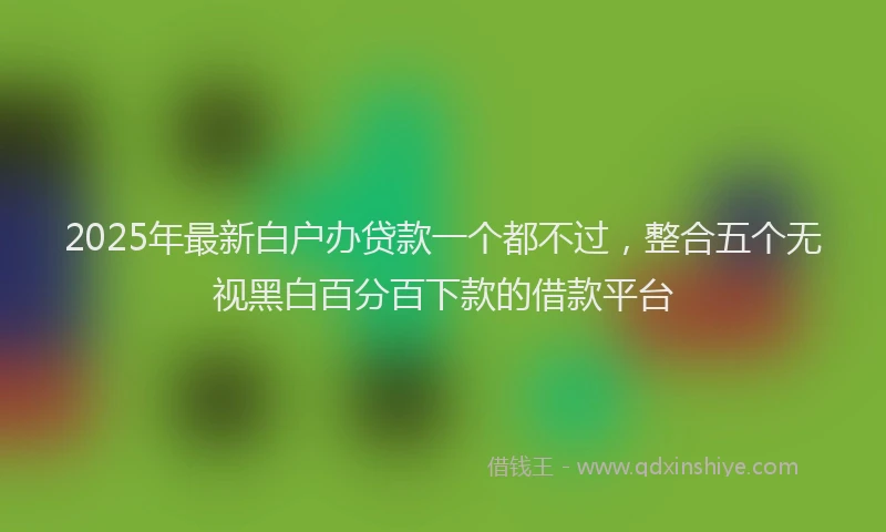 2025年最新白户办贷款一个都不过，整合五个无视黑白百分百下款的借款平台