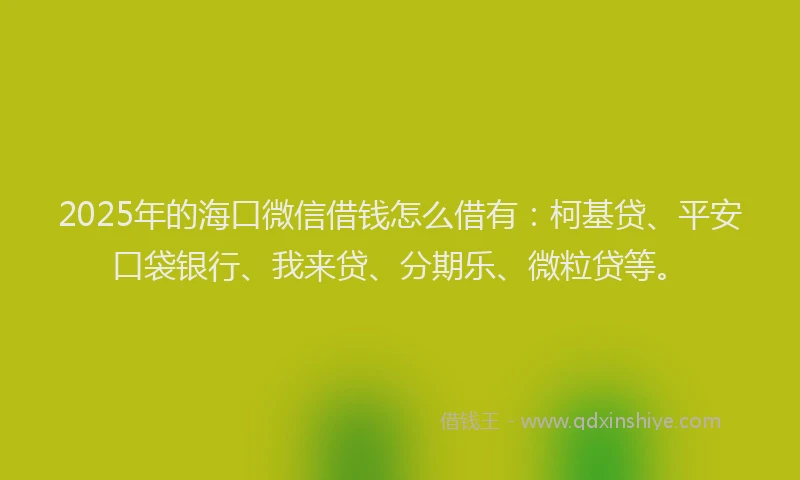 2025年的海口微信借钱怎么借有：柯基贷、平安口袋银行、我来贷、分期乐、微粒贷等。