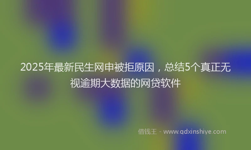 2025年最新民生网申被拒原因，总结5个真正无视逾期大数据的网贷软件