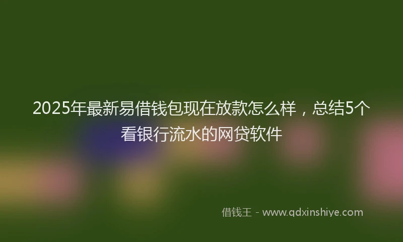 2025年最新易借钱包现在放款怎么样，总结5个看银行流水的网贷软件