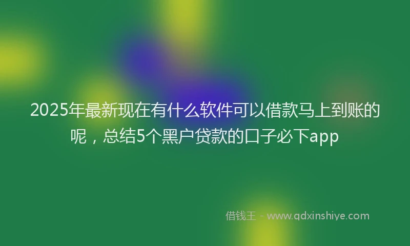 2025年最新现在有什么软件可以借款马上到账的呢，总结5个黑户贷款的口子必下app