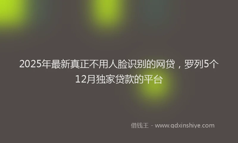2025年最新真正不用人脸识别的网贷，罗列5个12月独家贷款的平台