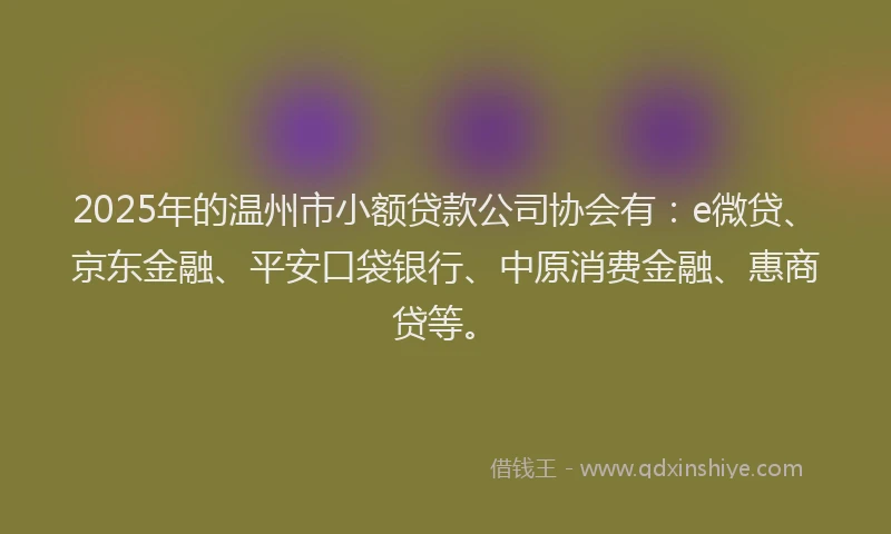 2025年的温州市小额贷款公司协会有：e微贷、京东金融、平安口袋银行、中原消费金融、惠商贷等。