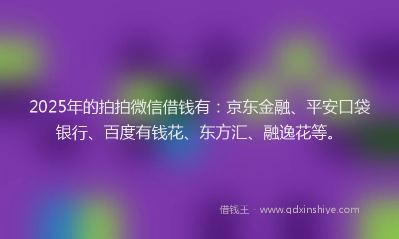 2025年的拍拍微信借钱有：京东金融、平安口袋银行、百度有钱花、东方汇、融逸花等。