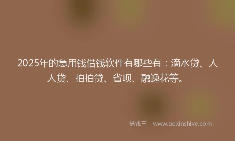 2025年的急用钱借钱软件有哪些有：滴水贷、人人贷、拍拍贷、省呗、融逸花等。