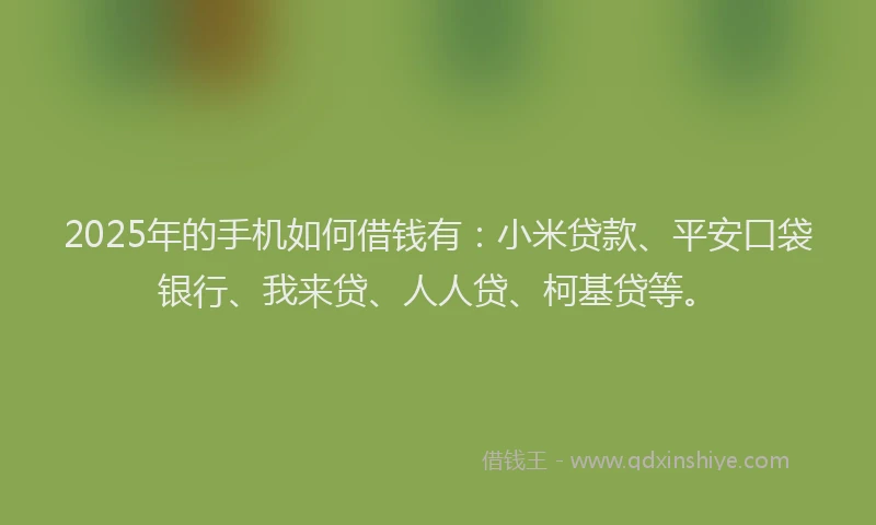 2025年的手机如何借钱有：小米贷款、平安口袋银行、我来贷、人人贷、柯基贷等。