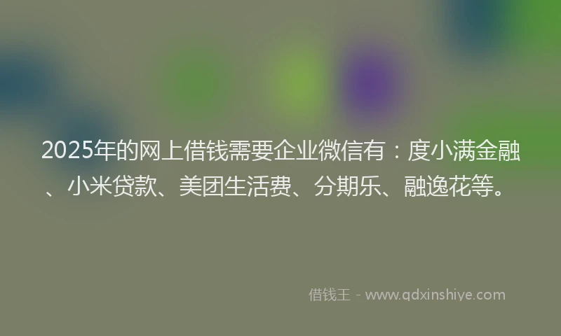 2025年的网上借钱需要企业微信有：度小满金融、小米贷款、美团生活费、分期乐、融逸花等。