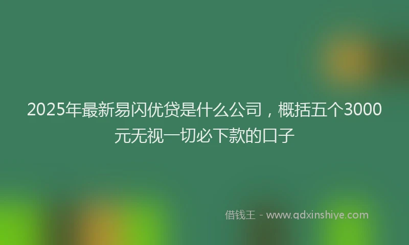 2025年最新易闪优贷是什么公司，概括五个3000元无视一切必下款的口子
