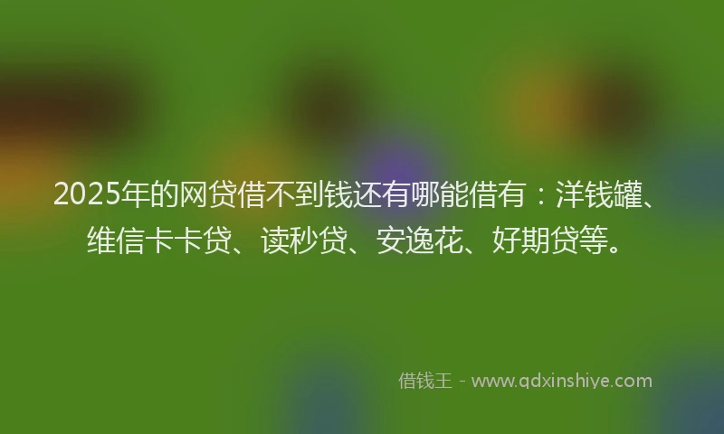 2025年的网贷借不到钱还有哪能借有：洋钱罐、维信卡卡贷、读秒贷、安逸花、好期贷等。