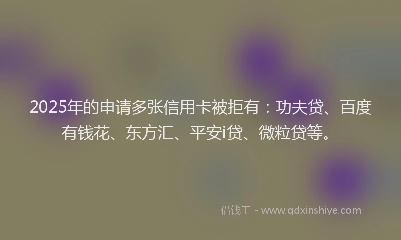 2025年的申请多张信用卡被拒有：功夫贷、百度有钱花、东方汇、平安i贷、微粒贷等。