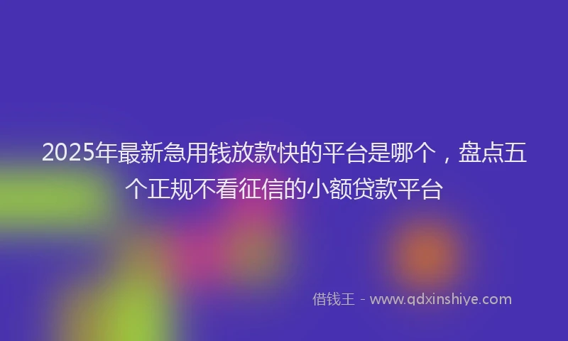 2025年最新急用钱放款快的平台是哪个，盘点五个正规不看征信的小额贷款平台