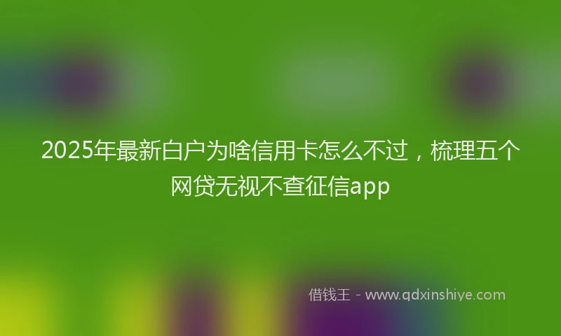 2025年最新白户为啥信用卡怎么不过，梳理五个网贷无视不查征信app