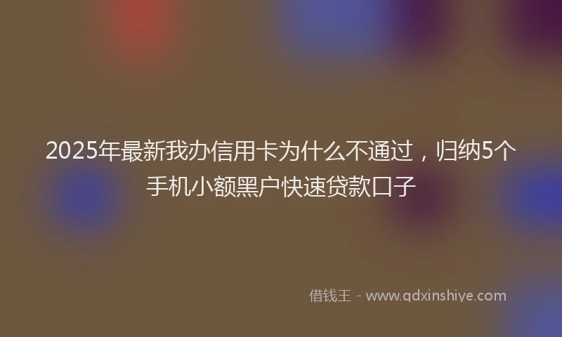 2025年最新我办信用卡为什么不通过，归纳5个手机小额黑户快速贷款口子