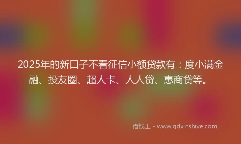 2025年的新口子不看征信小额贷款有：度小满金融、投友圈、超人卡、人人贷、惠商贷等。