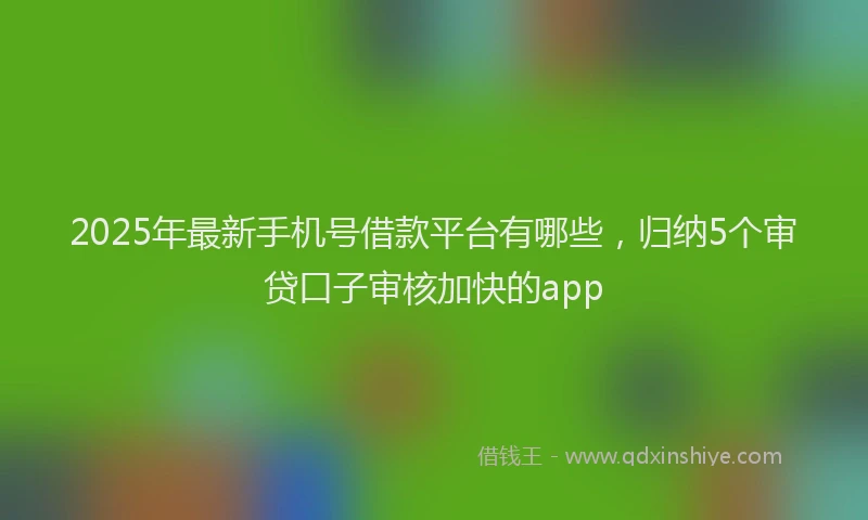 2025年最新手机号借款平台有哪些，归纳5个审贷口子审核加快的app