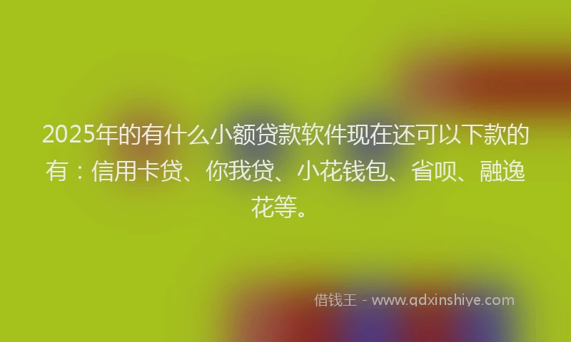 2025年的有什么小额贷款软件现在还可以下款的有：信用卡贷、你我贷、小花钱包、省呗、融逸花等。