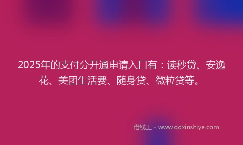 2025年的支付分开通申请入口有：读秒贷、安逸花、美团生活费、随身贷、微粒贷等。