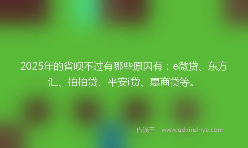 2025年的省呗不过有哪些原因有：e微贷、东方汇、拍拍贷、平安i贷、惠商贷等。