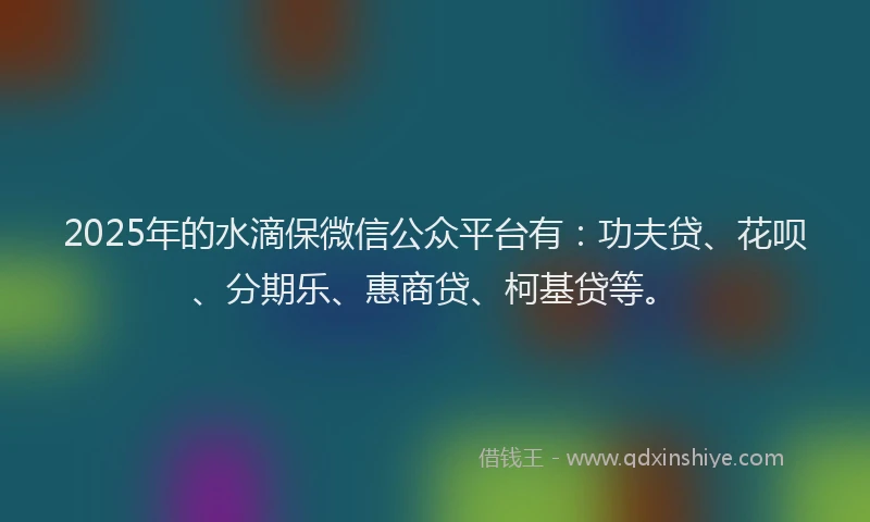 2025年的水滴保微信公众平台有：功夫贷、花呗、分期乐、惠商贷、柯基贷等。