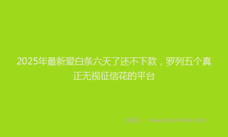 2025年最新爱白条六天了还不下款，罗列五个真正无视征信花的平台