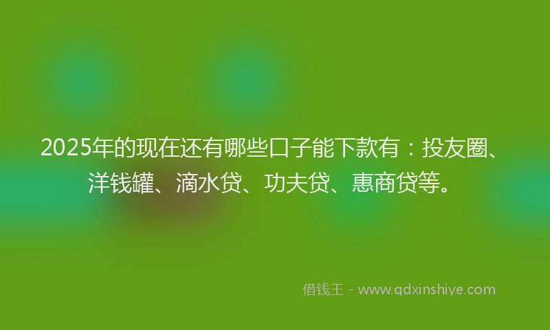 2025年的现在还有哪些口子能下款有：投友圈、洋钱罐、滴水贷、功夫贷、惠商贷等。