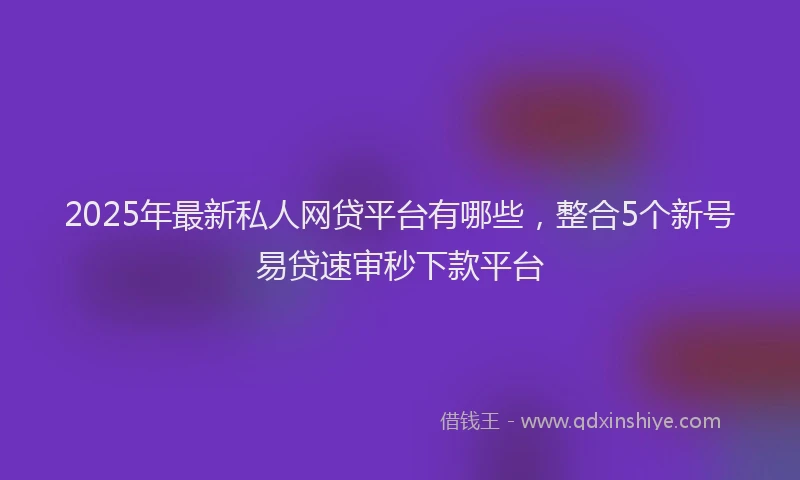 2025年最新私人网贷平台有哪些，整合5个新号易贷速审秒下款平台