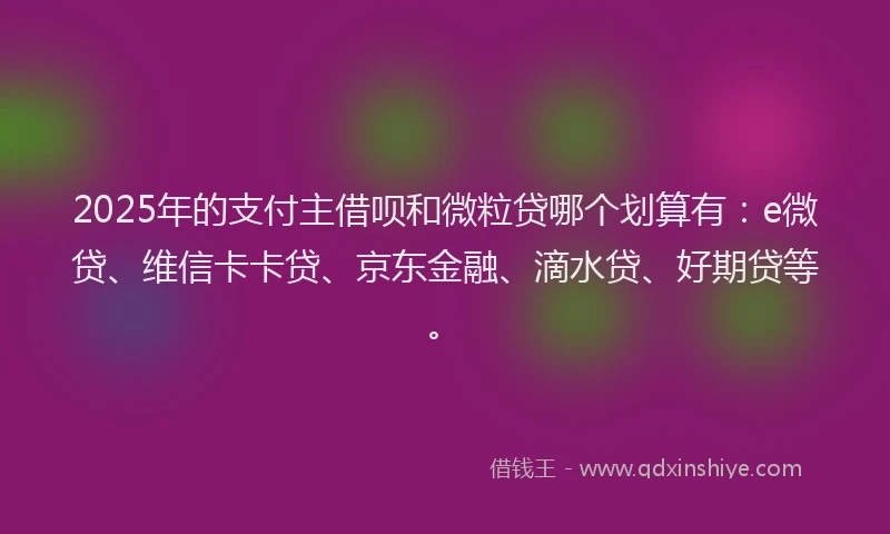 2025年的支付主借呗和微粒贷哪个划算有：e微贷、维信卡卡贷、京东金融、滴水贷、好期贷等。