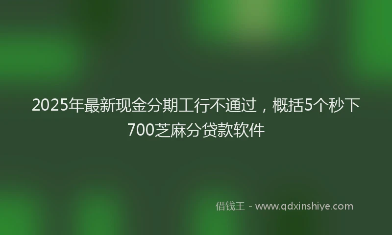2025年最新现金分期工行不通过，概括5个秒下700芝麻分贷款软件
