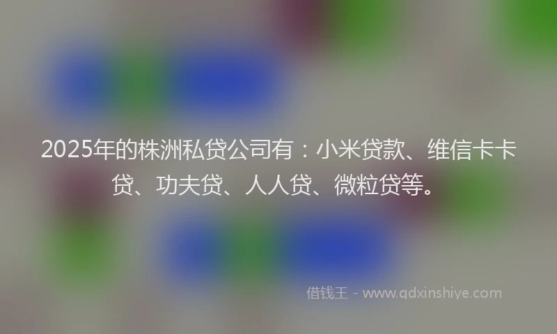 2025年的株洲私贷公司有：小米贷款、维信卡卡贷、功夫贷、人人贷、微粒贷等。