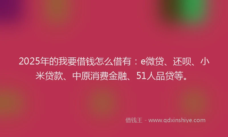 2025年的我要借钱怎么借有：e微贷、还呗、小米贷款、中原消费金融、51人品贷等。