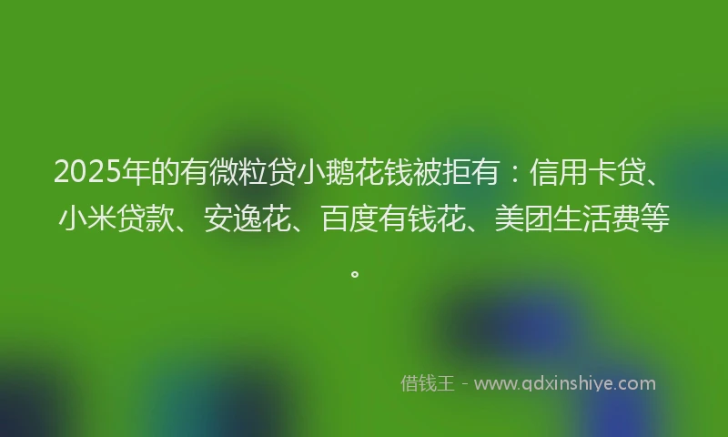 2025年的有微粒贷小鹅花钱被拒有：信用卡贷、小米贷款、安逸花、百度有钱花、美团生活费等。