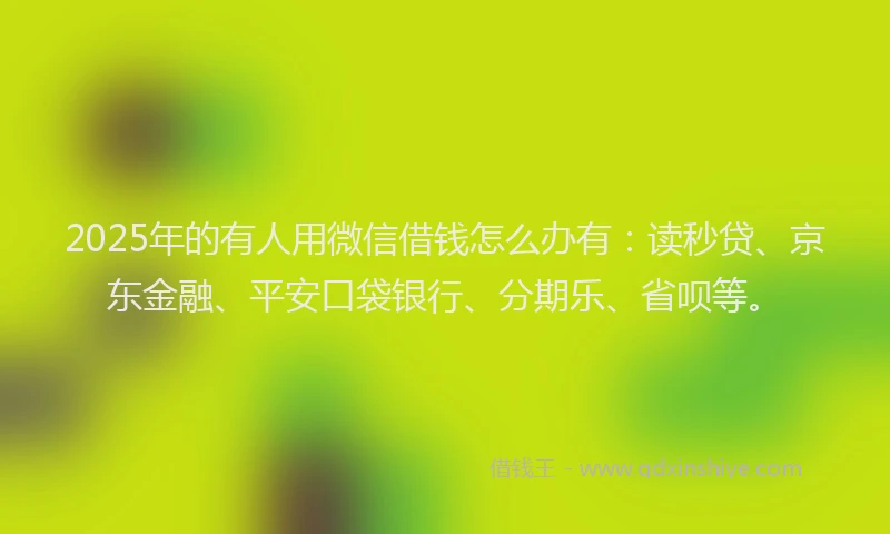 2025年的有人用微信借钱怎么办有：读秒贷、京东金融、平安口袋银行、分期乐、省呗等。