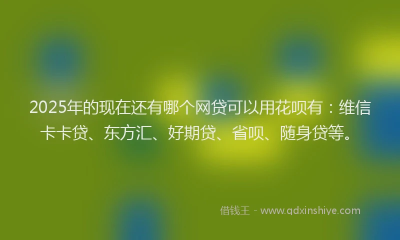 2025年的现在还有哪个网贷可以用花呗有：维信卡卡贷、东方汇、好期贷、省呗、随身贷等。