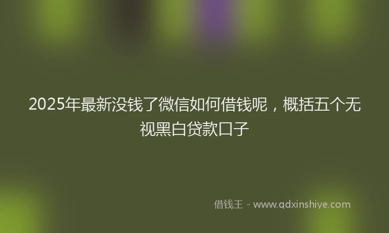 2025年最新没钱了微信如何借钱呢，概括五个无视黑白贷款口子