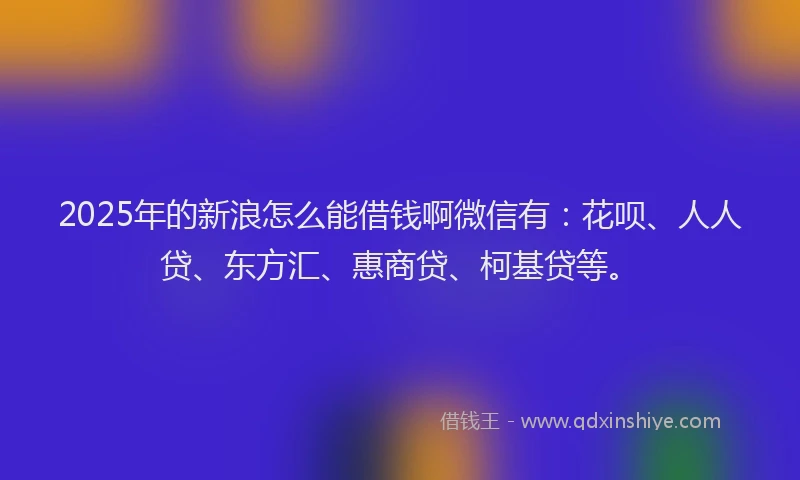 2025年的新浪怎么能借钱啊微信有：花呗、人人贷、东方汇、惠商贷、柯基贷等。