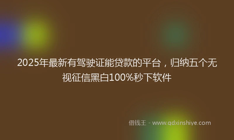 2025年最新有驾驶证能贷款的平台，归纳五个无视征信黑白100%秒下软件