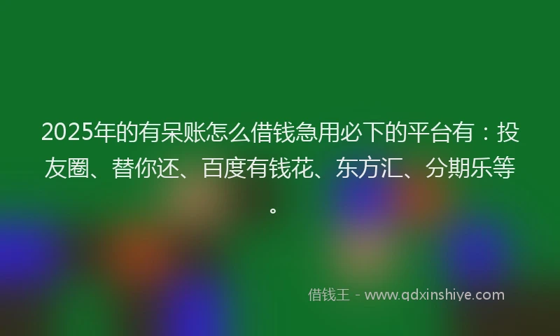 2025年的有呆账怎么借钱急用必下的平台有：投友圈、替你还、百度有钱花、东方汇、分期乐等。