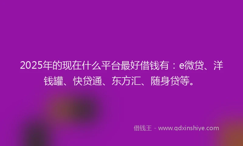 2025年的现在什么平台最好借钱有：e微贷、洋钱罐、快贷通、东方汇、随身贷等。