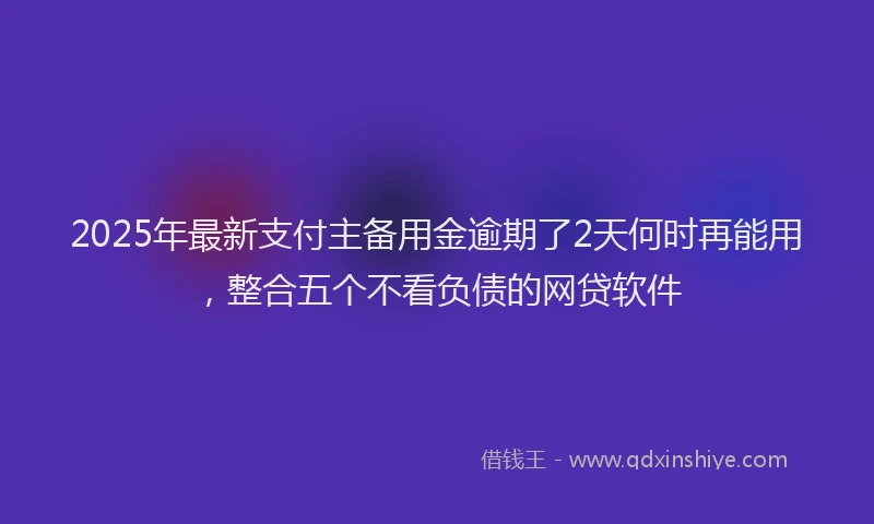 2025年最新支付主备用金逾期了2天何时再能用，整合五个不看负债的网贷软件