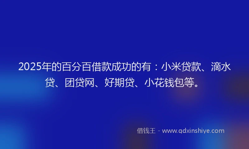 2025年的百分百借款成功的有：小米贷款、滴水贷、团贷网、好期贷、小花钱包等。