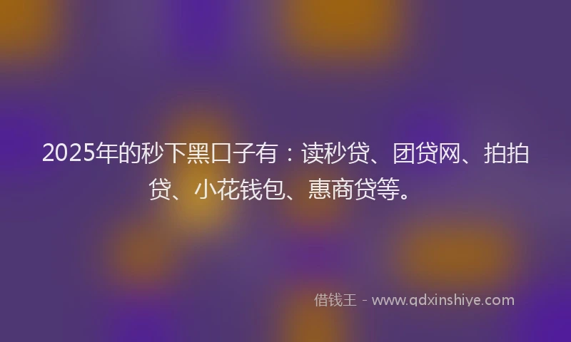 2025年的秒下黑口子有：读秒贷、团贷网、拍拍贷、小花钱包、惠商贷等。