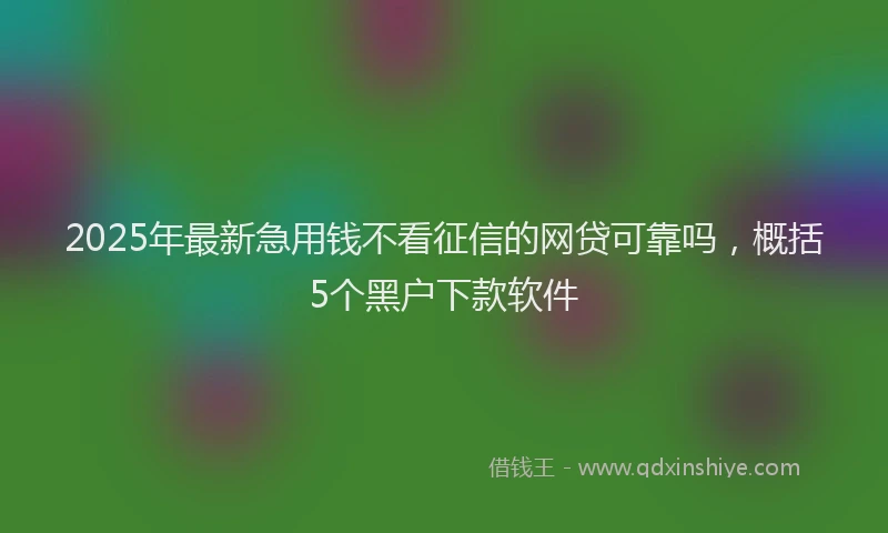 2025年最新急用钱不看征信的网贷可靠吗，概括5个黑户下款软件